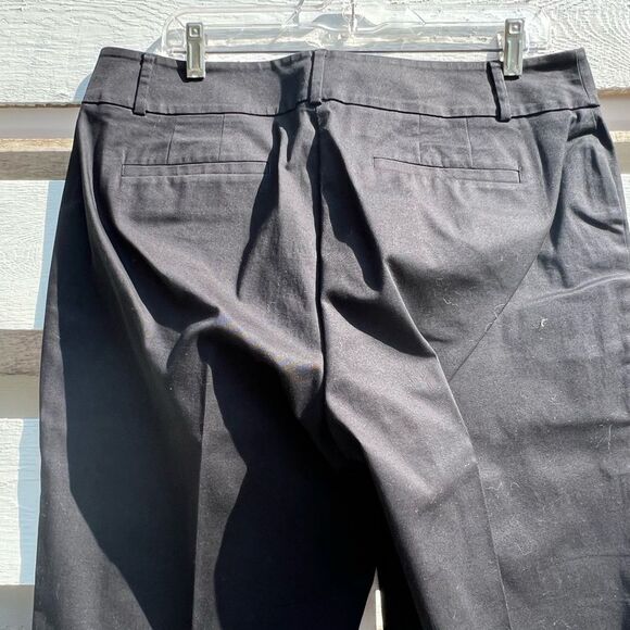 Ann Taylor Factory Curvy Pants - Picture 6 of 9